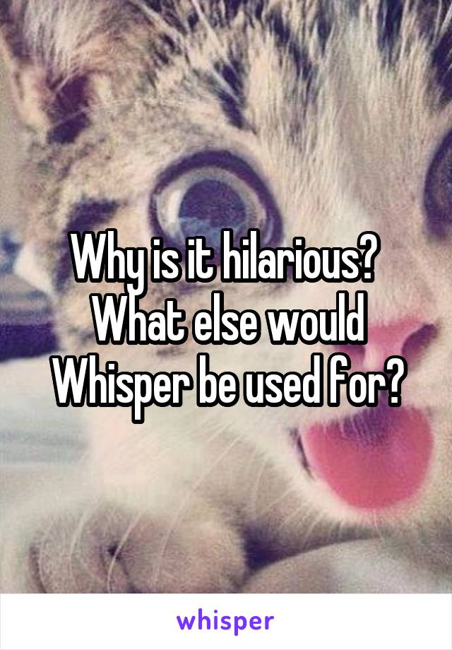 Why is it hilarious?  What else would Whisper be used for?