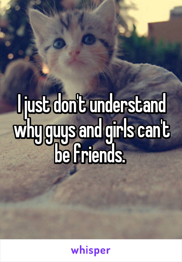 I just don't understand why guys and girls can't be friends. 