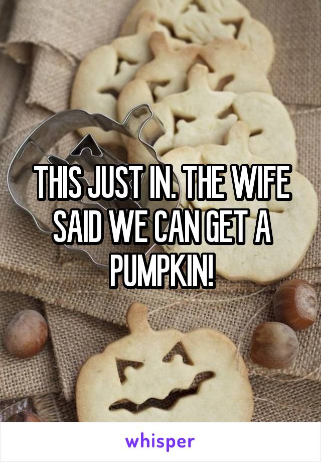 THIS JUST IN. THE WIFE SAID WE CAN GET A PUMPKIN!