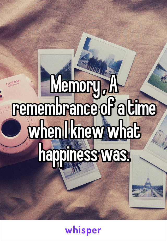 Memory , A remembrance of a time when I knew what happiness was.