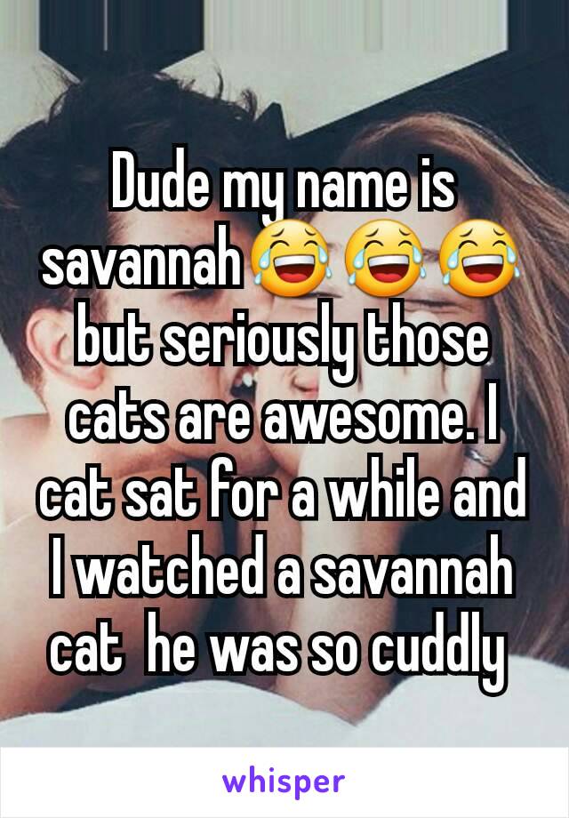 Dude my name is savannah😂😂😂 but seriously those cats are awesome. I cat sat for a while and I watched a savannah cat  he was so cuddly 