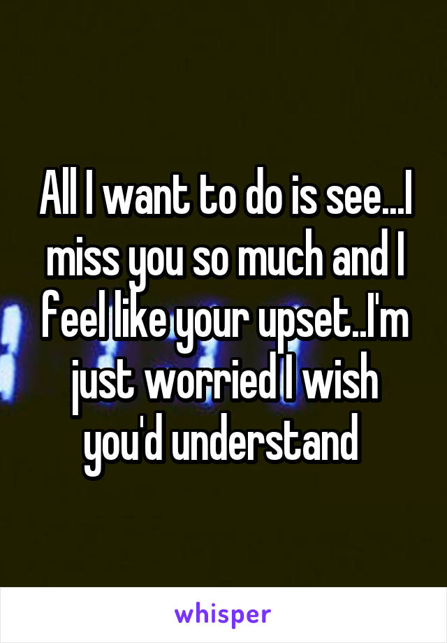 All I want to do is see...I miss you so much and I feel like your upset..I'm just worried I wish you'd understand 