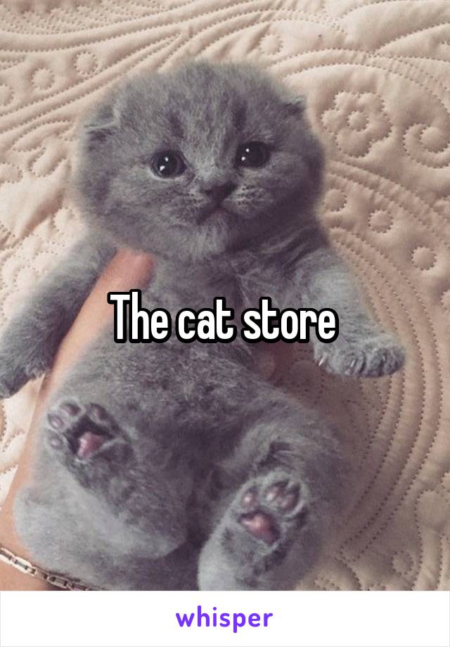 The cat store 