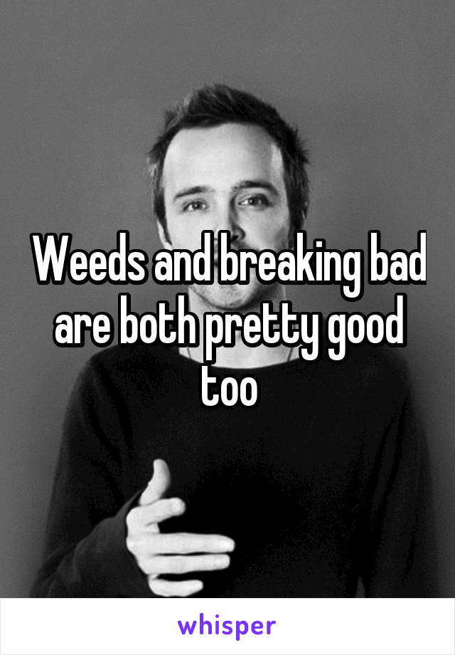 Weeds and breaking bad are both pretty good too