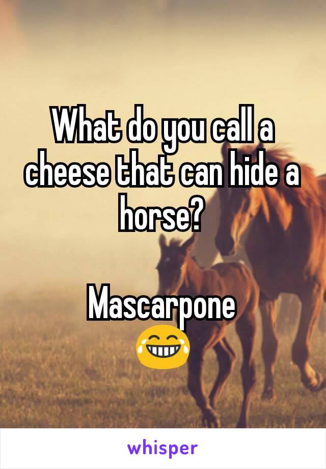 What do you call a cheese that can hide a horse?

Mascarpone
😂