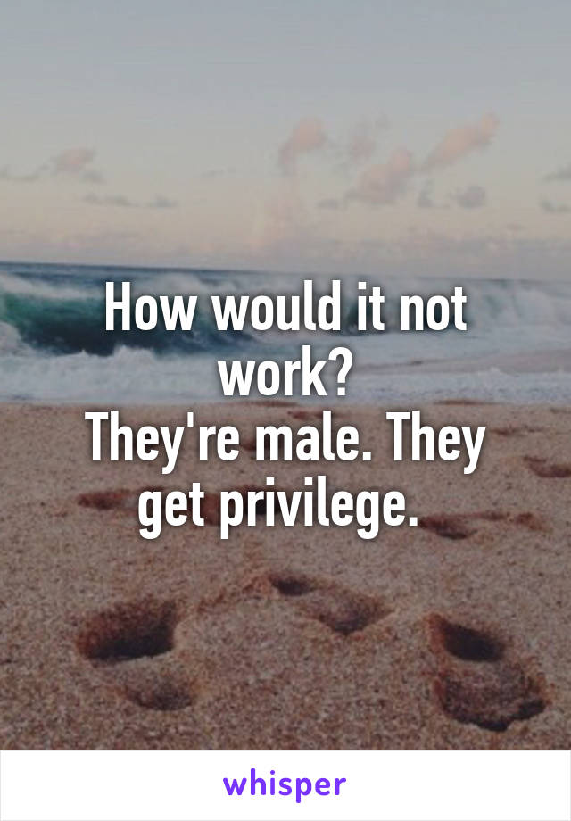 How would it not work?
They're male. They get privilege. 