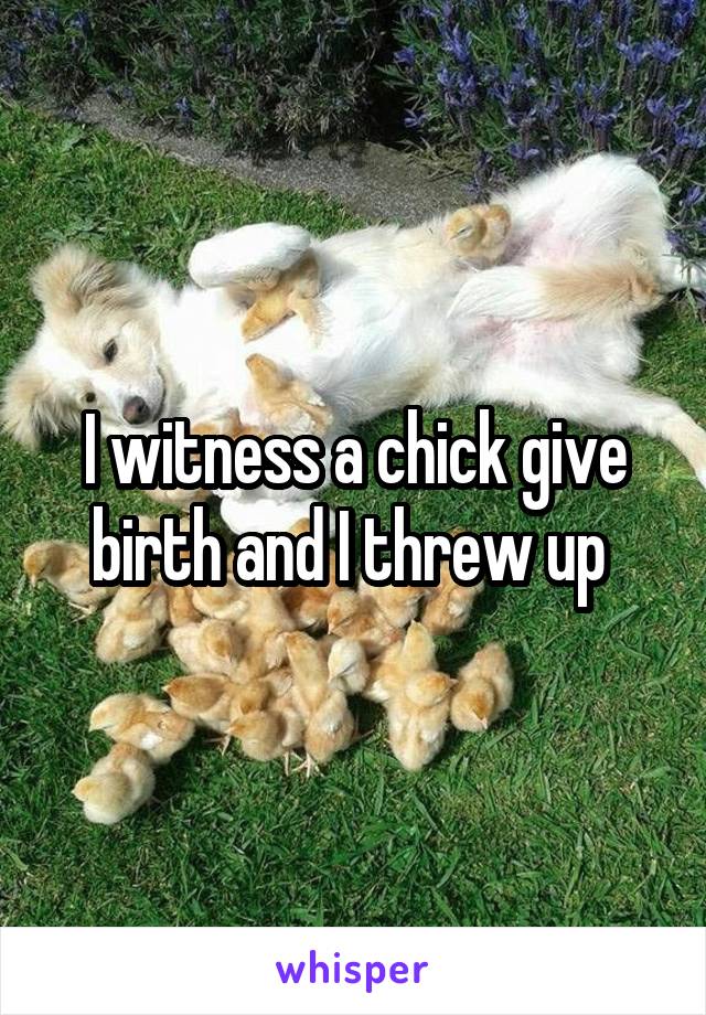 I witness a chick give birth and I threw up 