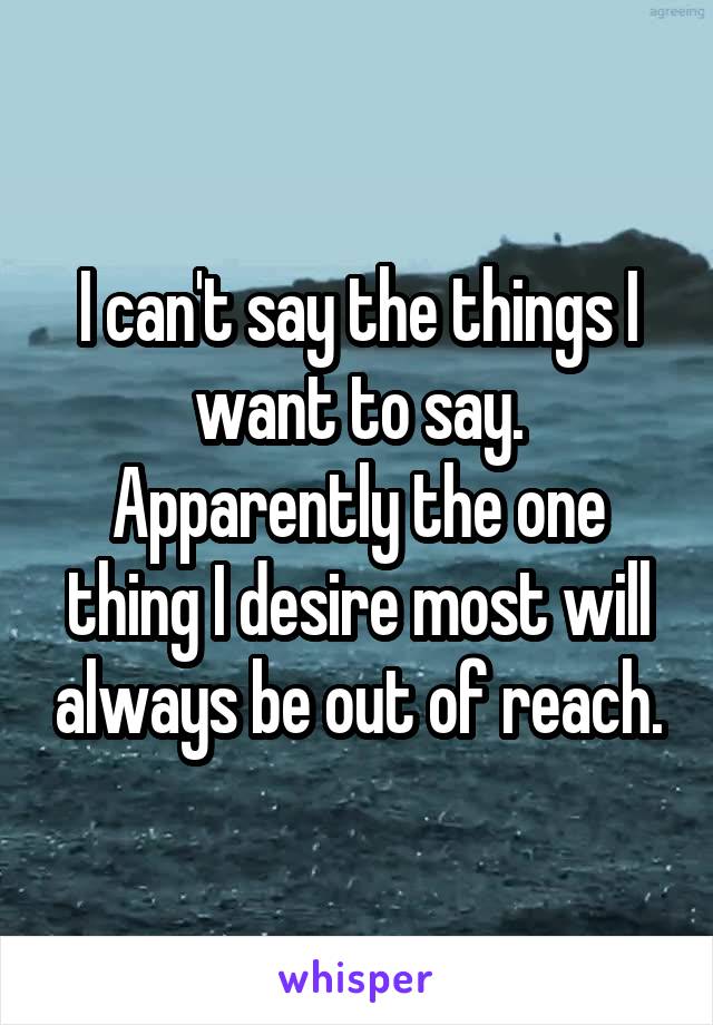 I can't say the things I want to say. Apparently the one thing I desire most will always be out of reach.