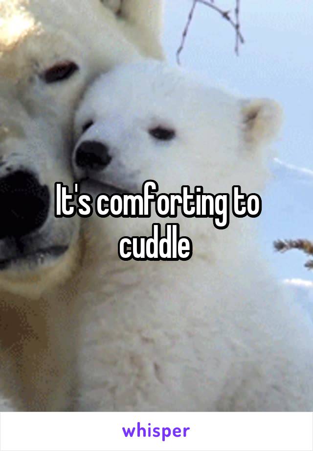 It's comforting to cuddle 