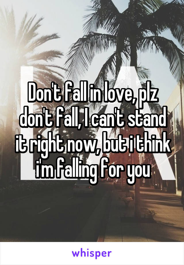 Don't fall in love, plz don't fall, I can't stand it right now, but i think i'm falling for you