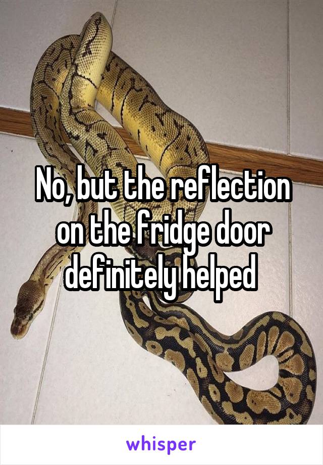 No, but the reflection on the fridge door definitely helped 