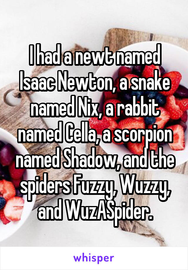 I had a newt named Isaac Newton, a snake named Nix, a rabbit named Cella, a scorpion named Shadow, and the spiders Fuzzy, Wuzzy, and WuzASpider.