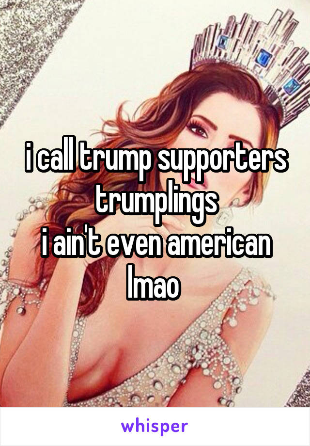 i call trump supporters trumplings
i ain't even american lmao 