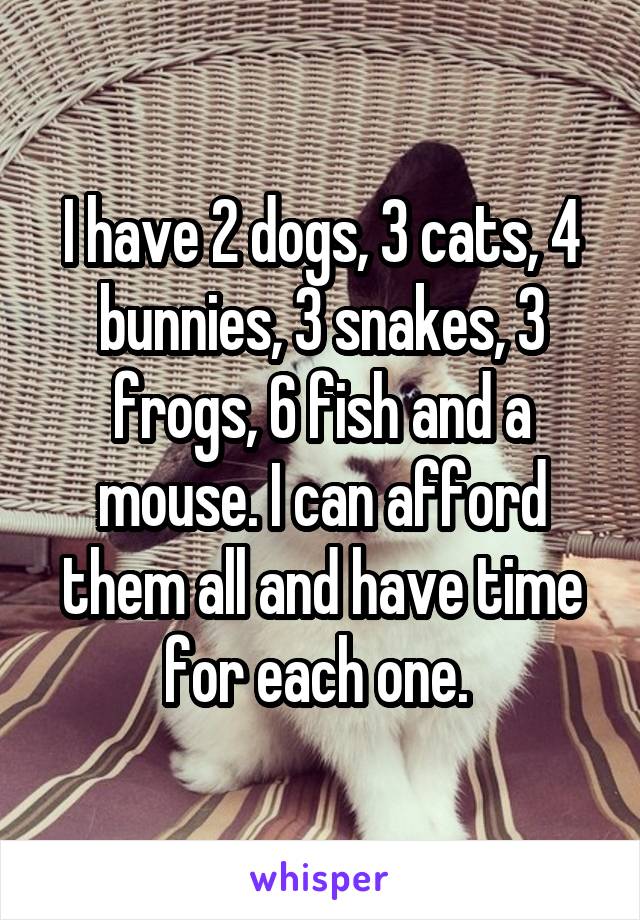 I have 2 dogs, 3 cats, 4 bunnies, 3 snakes, 3 frogs, 6 fish and a mouse. I can afford them all and have time for each one. 