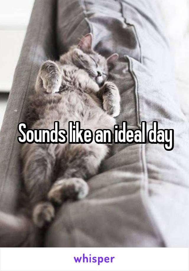 Sounds like an ideal day