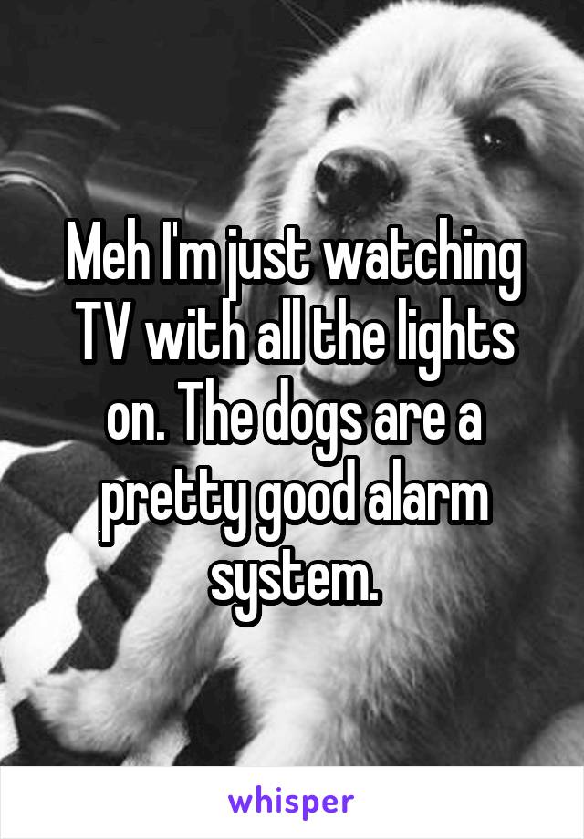 Meh I'm just watching TV with all the lights on. The dogs are a pretty good alarm system.