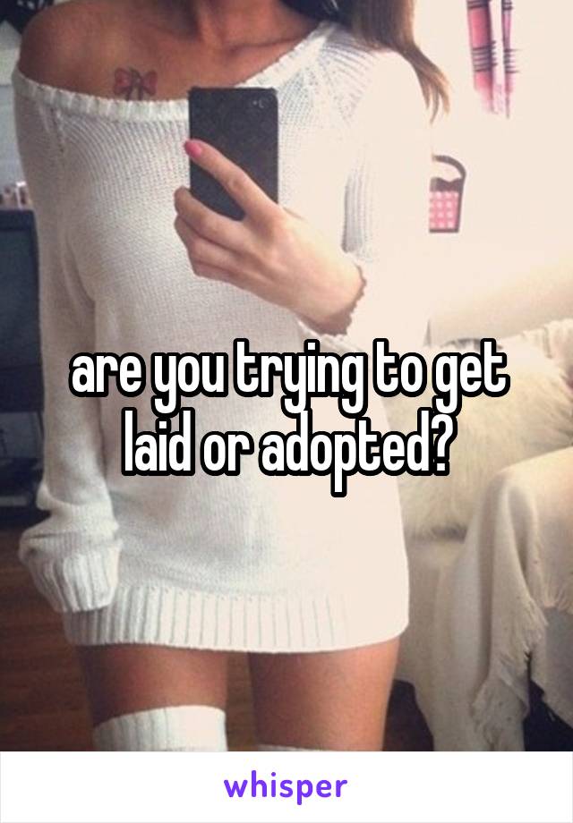 are you trying to get laid or adopted?