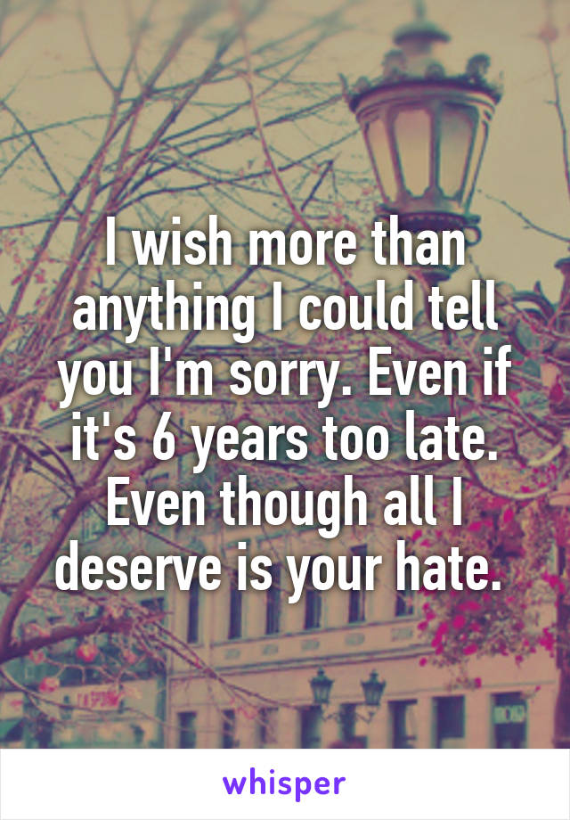 I wish more than anything I could tell you I'm sorry. Even if it's 6 years too late. Even though all I deserve is your hate. 