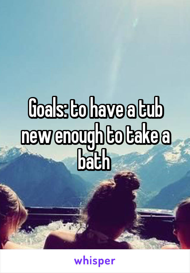Goals: to have a tub new enough to take a bath 