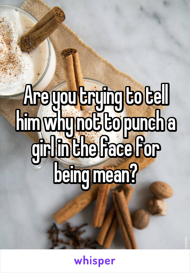 Are you trying to tell him why not to punch a girl in the face for being mean?