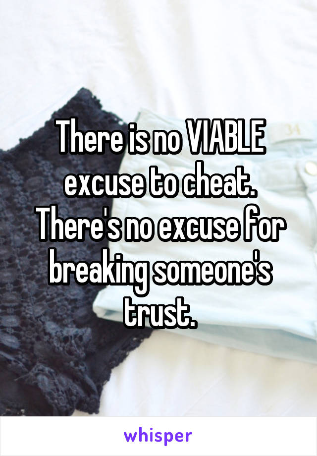 There is no VIABLE excuse to cheat.
There's no excuse for breaking someone's trust.