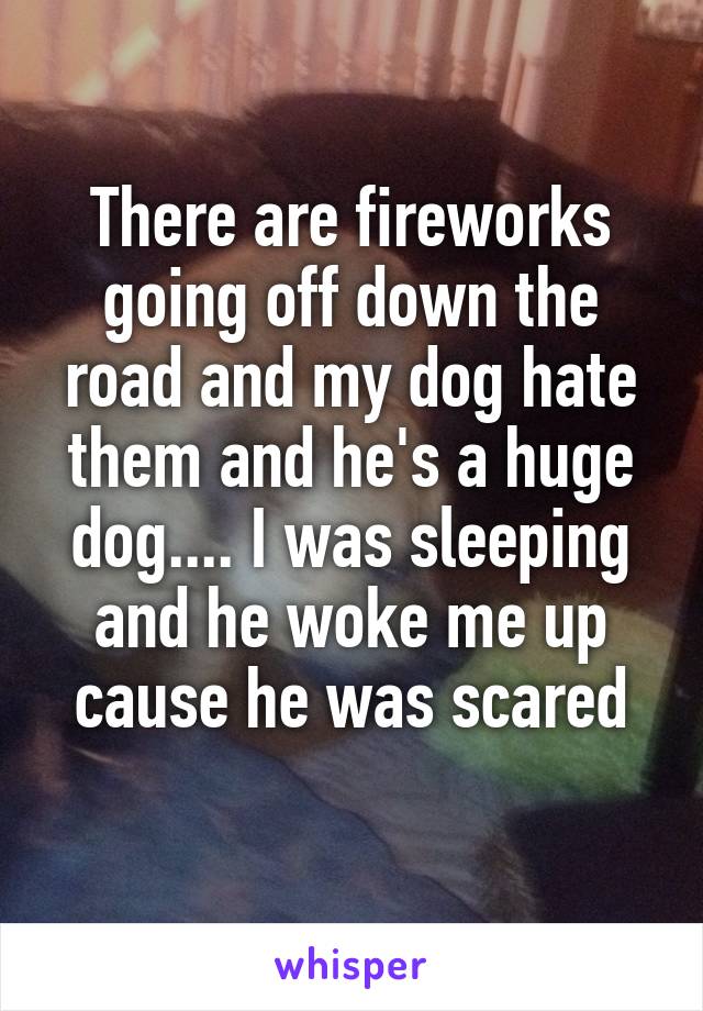 There are fireworks going off down the road and my dog hate them and he's a huge dog.... I was sleeping and he woke me up cause he was scared
