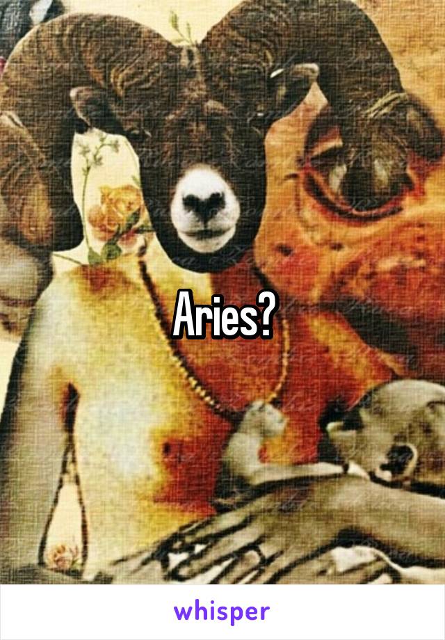 Aries?