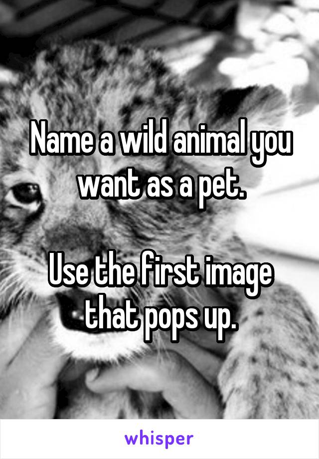 Name a wild animal you want as a pet.

Use the first image that pops up.