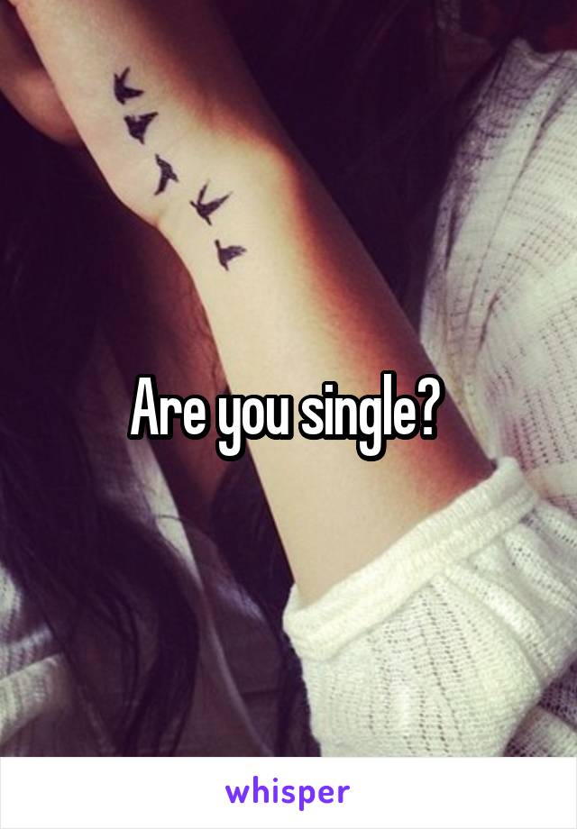 Are you single? 