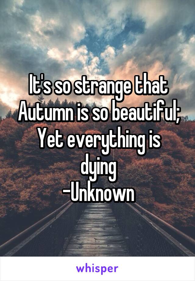 It's so strange that Autumn is so beautiful;
Yet everything is dying
-Unknown