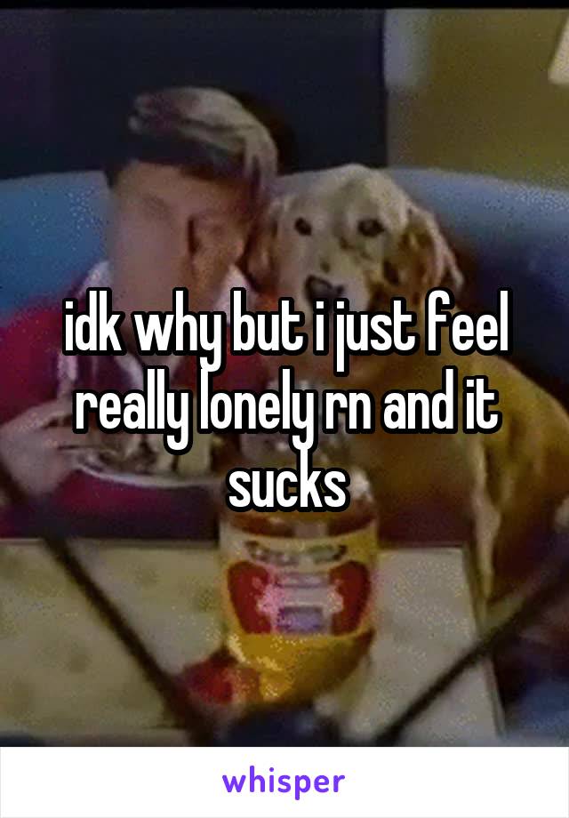 idk why but i just feel really lonely rn and it sucks