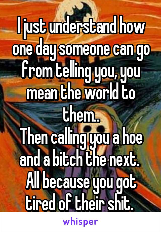 I just understand how one day someone can go from telling you, you mean the world to them..
Then calling you a hoe and a bitch the next. 
All because you got tired of their shit. 