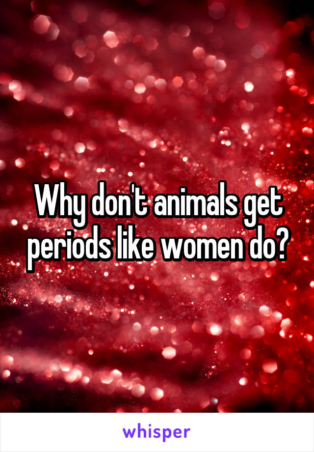 Why don't animals get periods like women do?