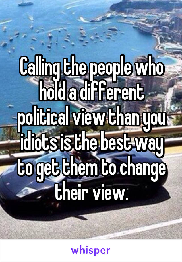 Calling the people who hold a different political view than you idiots is the best way to get them to change their view.
