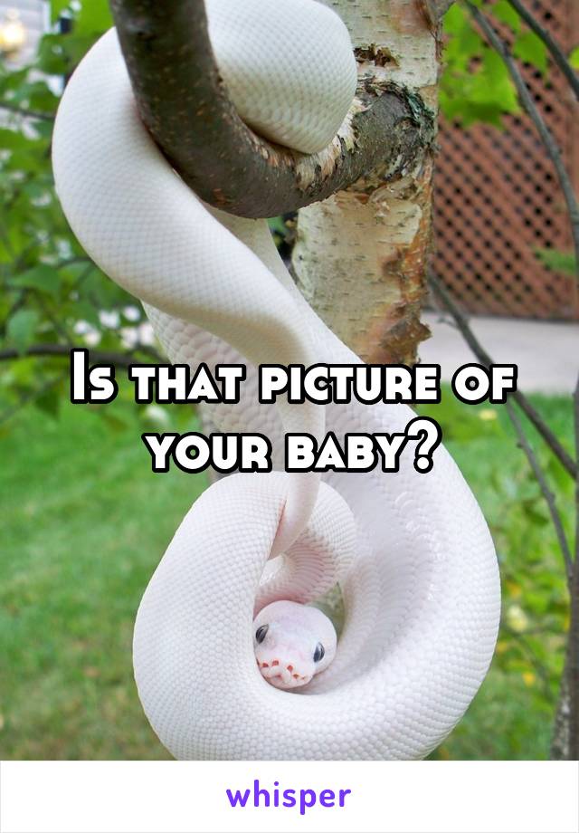 Is that picture of your baby?
