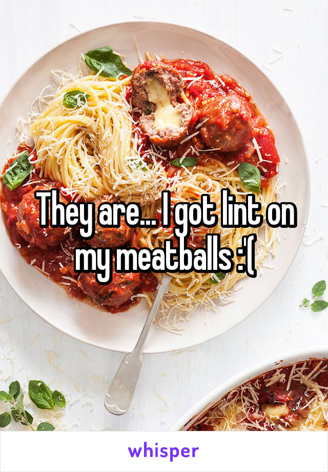 They are... I got lint on my meatballs :'(