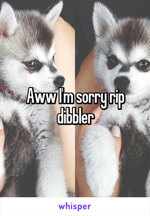 Aww I'm sorry rip dibbler