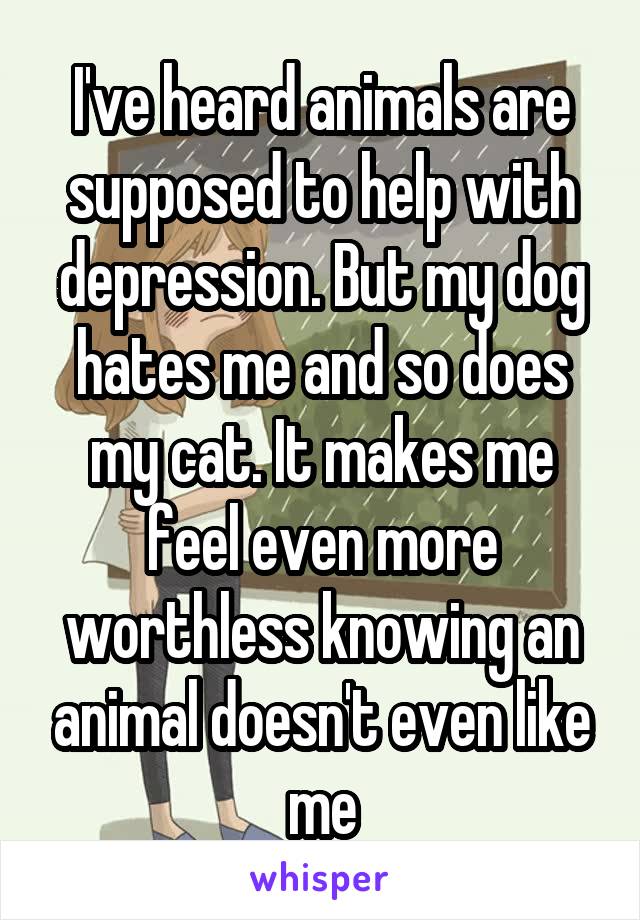 I've heard animals are supposed to help with depression. But my dog hates me and so does my cat. It makes me feel even more worthless knowing an animal doesn't even like me