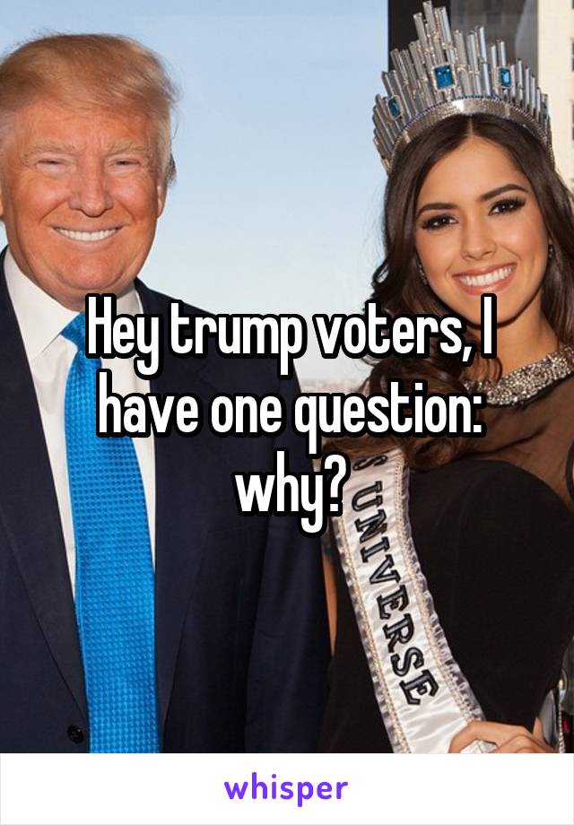 Hey trump voters, I have one question: why?