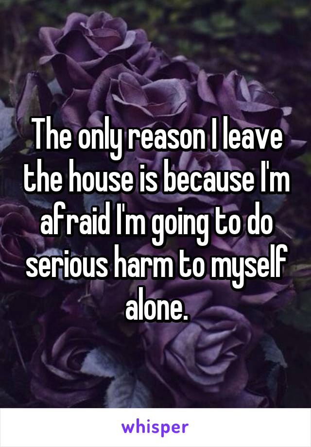 The only reason I leave the house is because I'm afraid I'm going to do serious harm to myself alone.