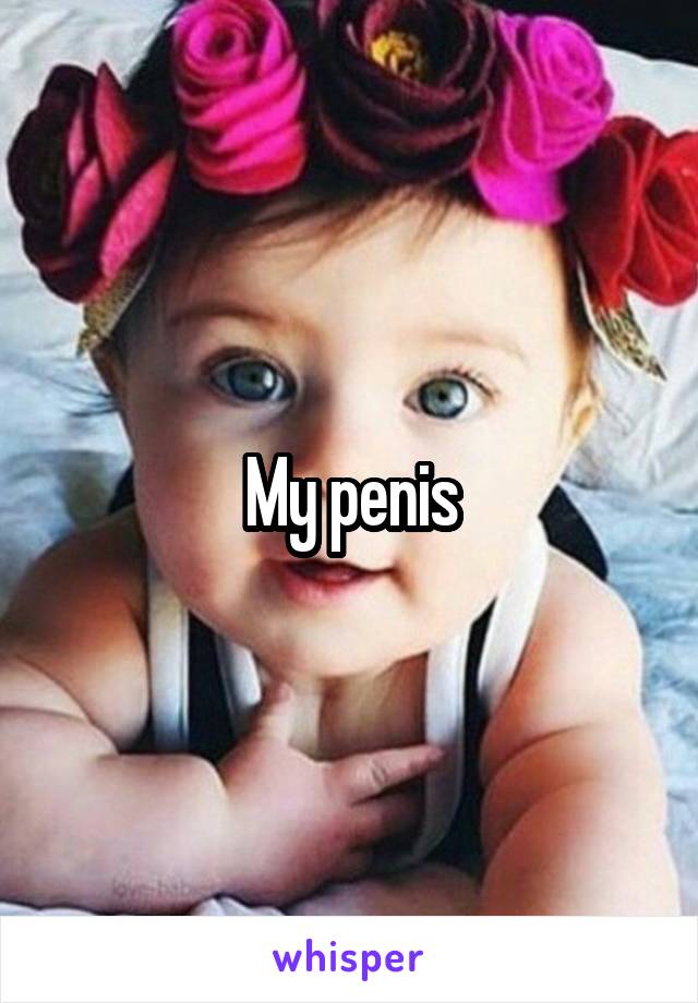 My penis