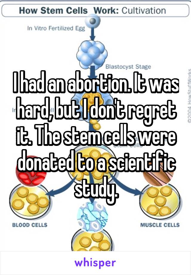 I had an abortion. It was hard, but I don't regret it. The stem cells were donated to a scientific study.