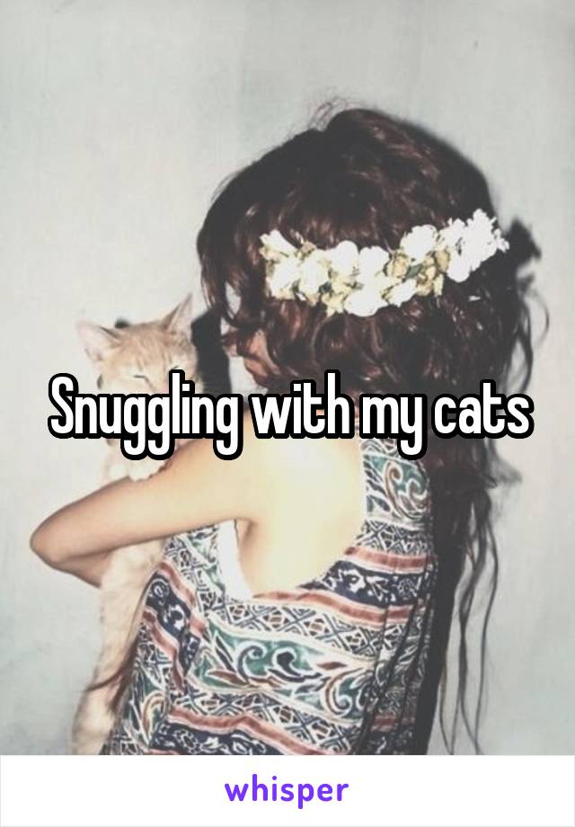 Snuggling with my cats