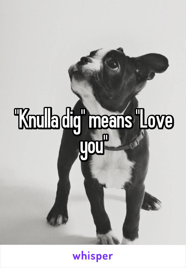 "Knulla dig" means "Love you"
