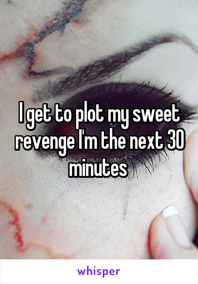 I get to plot my sweet revenge I'm the next 30 minutes 