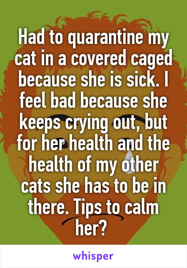 Had to quarantine my cat in a covered caged because she is sick. I feel bad because she keeps crying out, but for her health and the health of my other cats she has to be in there. Tips to calm her? 