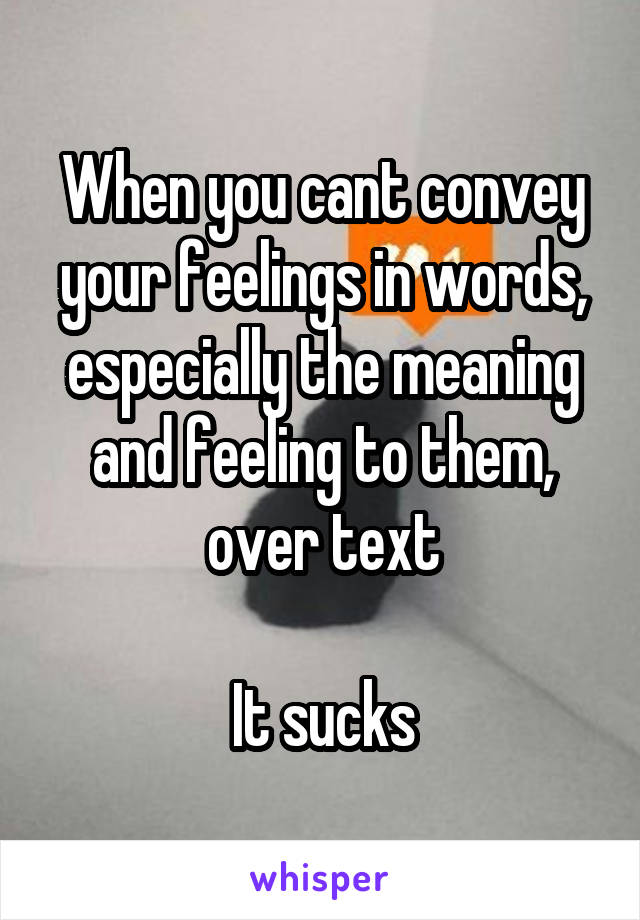 When you cant convey your feelings in words, especially the meaning and feeling to them, over text

It sucks