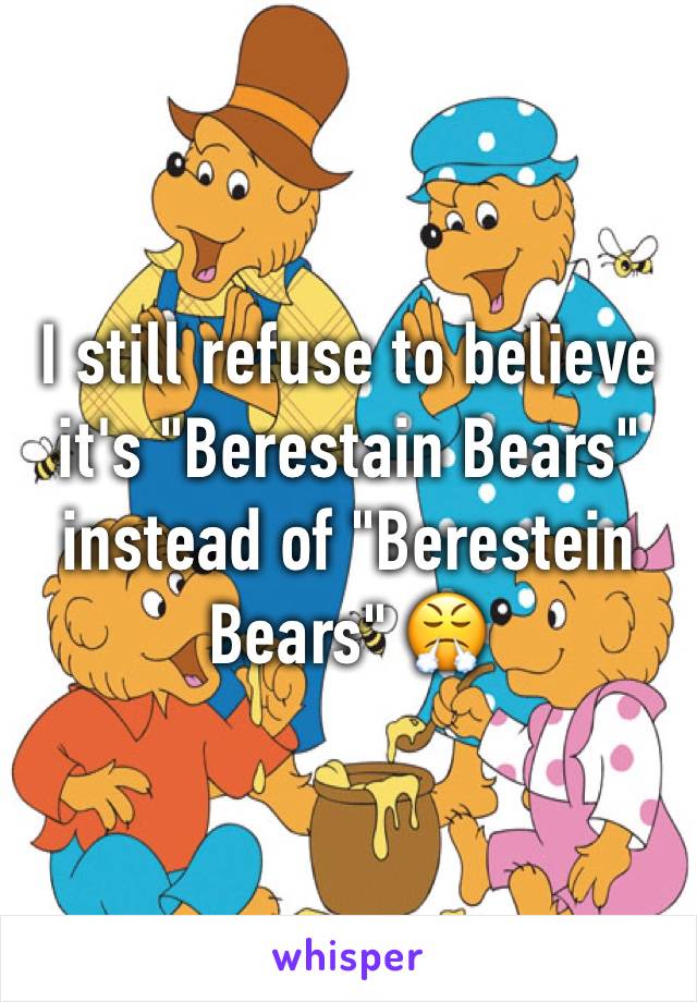 I still refuse to believe it's "Berestain Bears" instead of "Berestein Bears" 😤