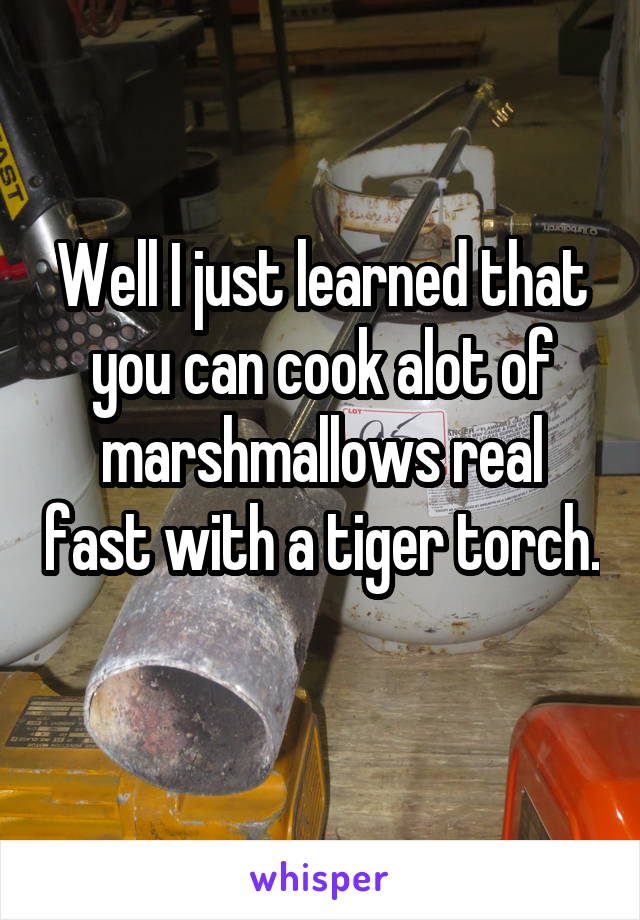 Well I just learned that you can cook alot of marshmallows real fast with a tiger torch. 