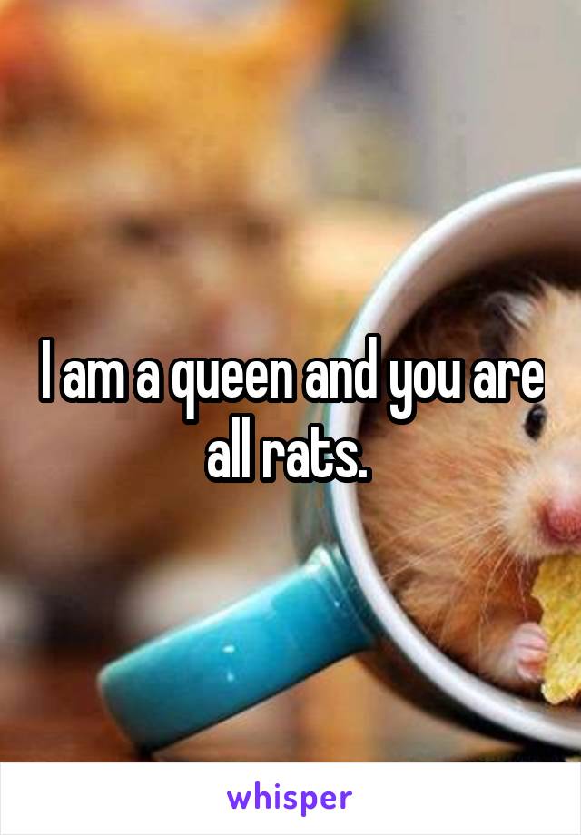 I am a queen and you are all rats. 